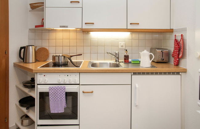 Apartamento de 1 quarto em Grindelwald com jardim - Foto 8