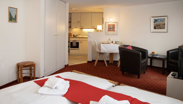 Appartamento con 1 camera da letto a Grindelwald con giardino - Foto 4