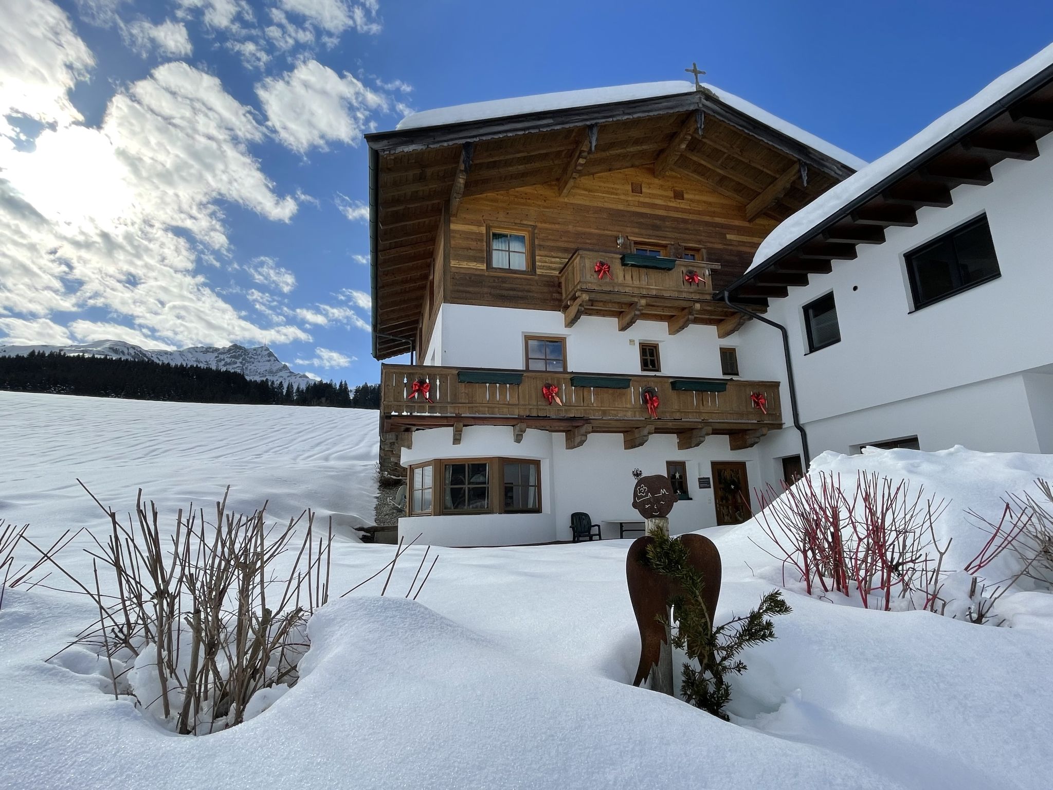 Foto 19 - Apartamento de 1 quarto em Sankt Johann in Tirol com jardim e terraço