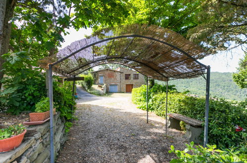 Photo 66 - 4 bedroom House in Greve in Chianti with private pool and garden