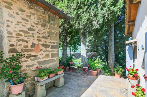 Photo 29 - 4 bedroom House in Greve in Chianti with private pool and garden