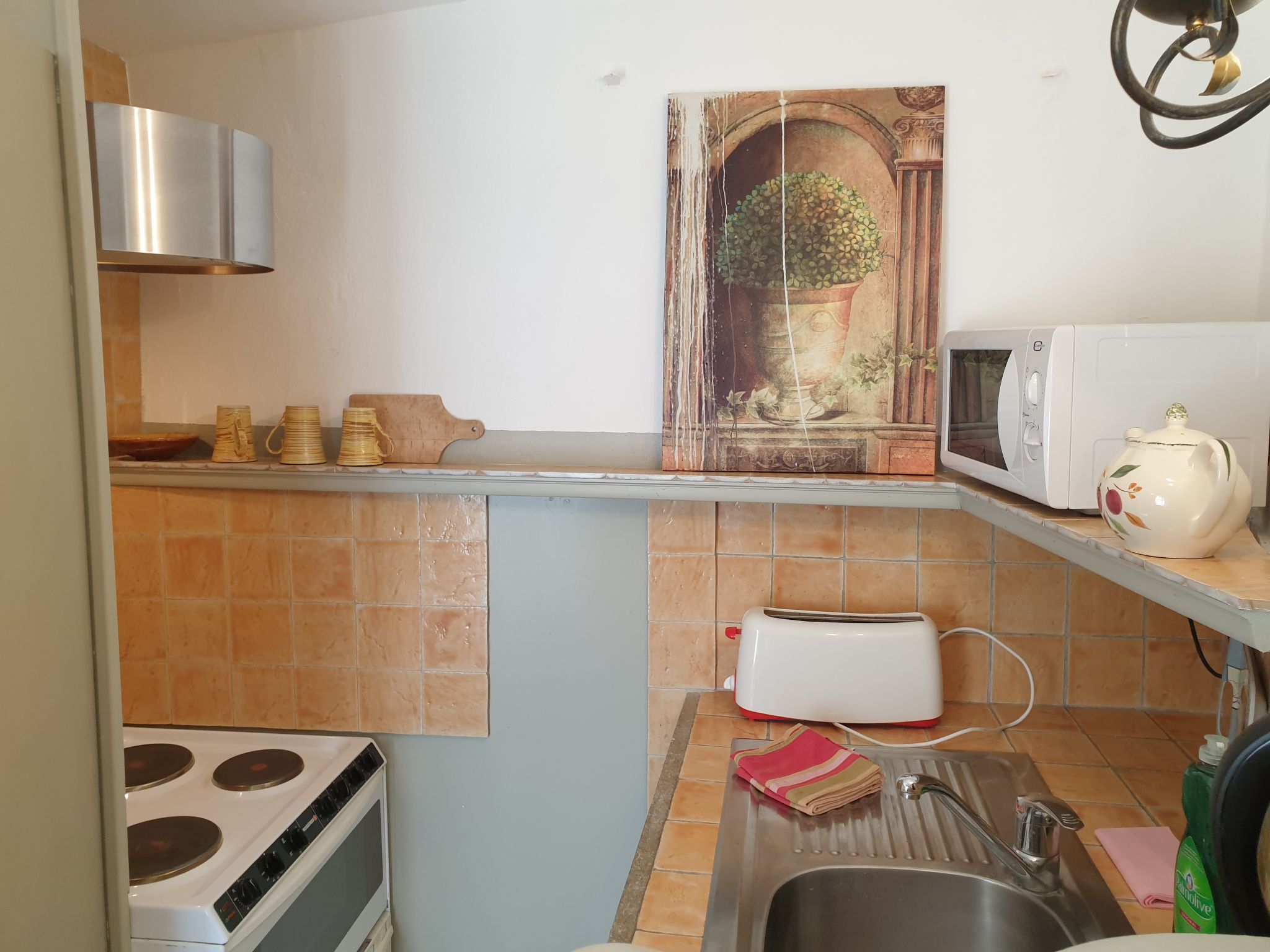 Photo 8 - Maison en Calvi avec piscine et jardin