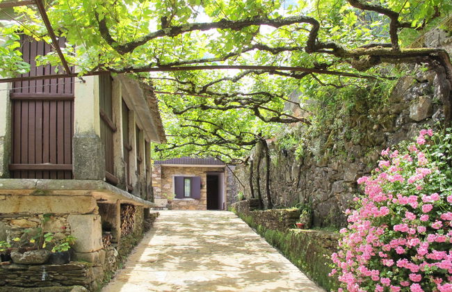 Casa de 3 quartos em Caminha com jardim e terraço - Foto 24