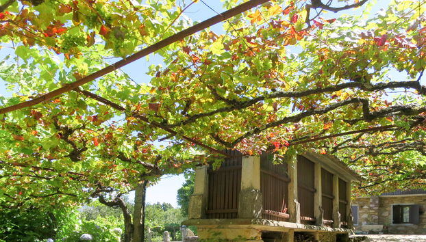 Haus mit 3 Schlafzimmern in Caminha mit garten und terrasse - Foto 2