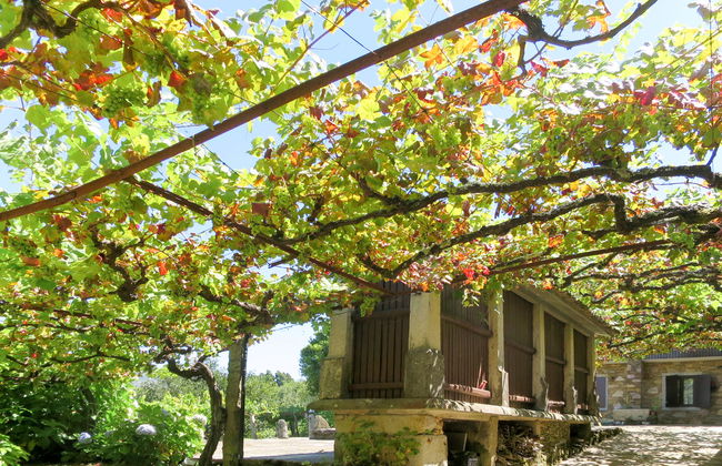 Casa de 3 quartos em Caminha com jardim e terraço - Foto 2