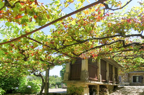 Foto 3 - Casa de 2 habitaciones en Caminha con jardín y terraza