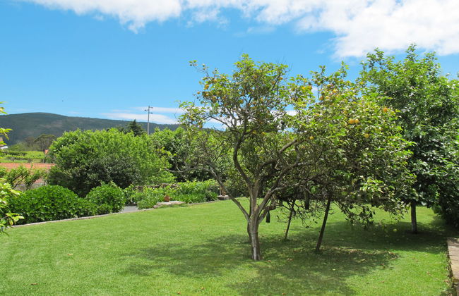 Casa de 3 quartos em Caminha com jardim e terraço - Foto 30