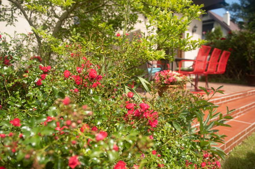 Photo 24 - Maison de 4 chambres à Ustronie Morskie avec jardin et terrasse