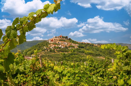 Photo 33 - 2 bedroom House in Motovun with private pool and garden