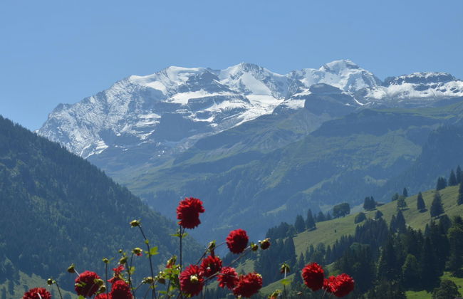 Apartamento de 1 quarto em Reichenbach im Kandertal - Foto 9
