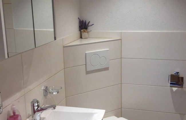 Apartamento de 1 quarto em Reichenbach im Kandertal - Foto 22