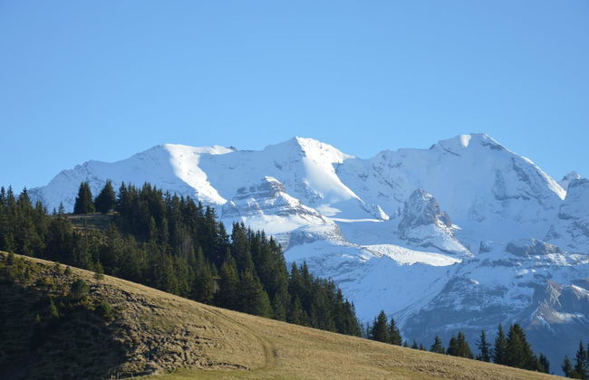 Apartamento de 1 quarto em Reichenbach im Kandertal - Foto 12
