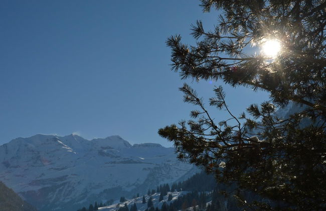 Apartamento de 1 quarto em Reichenbach im Kandertal - Foto 15