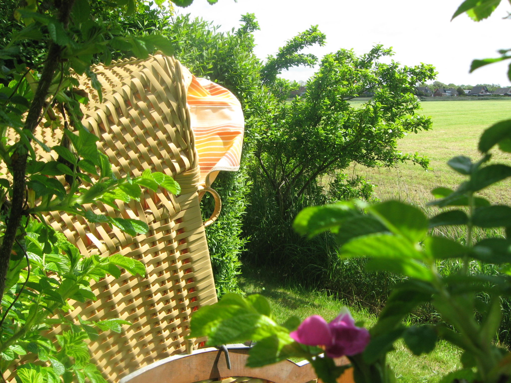 Photo 20 - Maison de 4 chambres à Wangerland avec jardin et terrasse