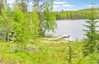 Foto 3 - Casa de 1 quarto em Heinävesi com sauna