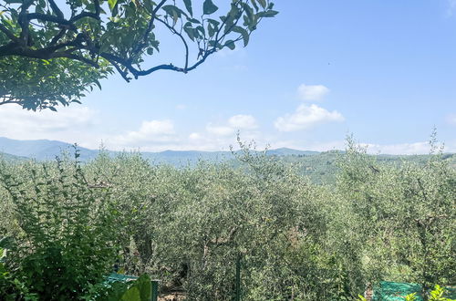 Photo 31 - 2 bedroom Apartment in Dolcedo with garden and terrace