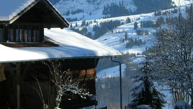 Apartment mit 2 Schlafzimmern in Oberwil im Simmental mit garten - Foto 5
