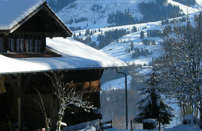 Apartamento de 2 quartos em Oberwil im Simmental com jardim - Foto 5