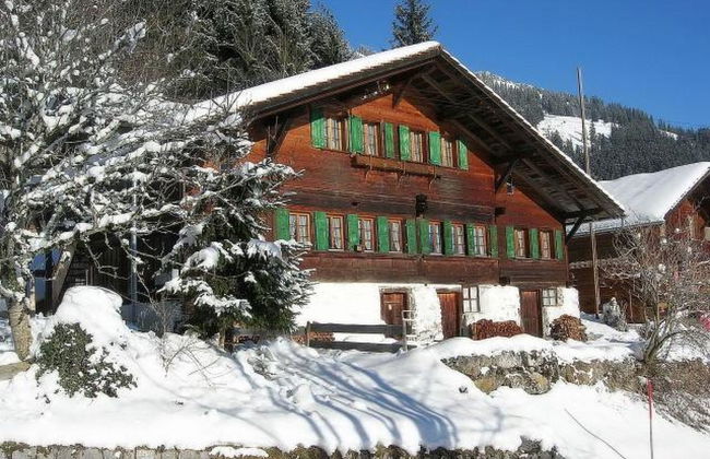 Apartamento de 2 quartos em Oberwil im Simmental com jardim - Foto 2
