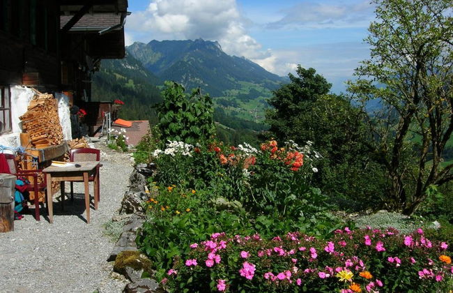Apartamento de 2 quartos em Oberwil im Simmental com jardim - Foto 7