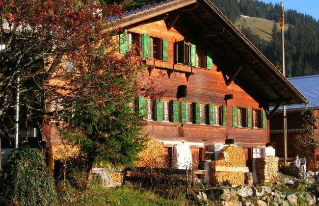 Apartamento de 2 quartos em Oberwil im Simmental com jardim - Foto 1