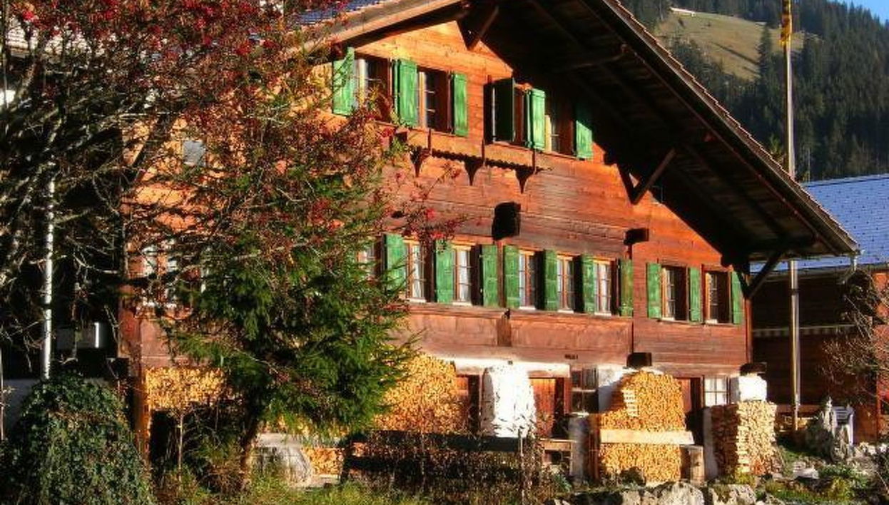 Apartment mit 2 Schlafzimmern in Oberwil im Simmental mit garten - Foto 1