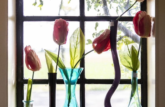 Haus mit 2 Schlafzimmern in Zuid-Beijerland mit garten - Foto 17