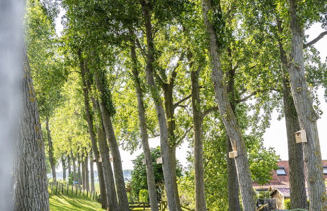 Haus mit 2 Schlafzimmern in Zuid-Beijerland mit garten - Foto 22