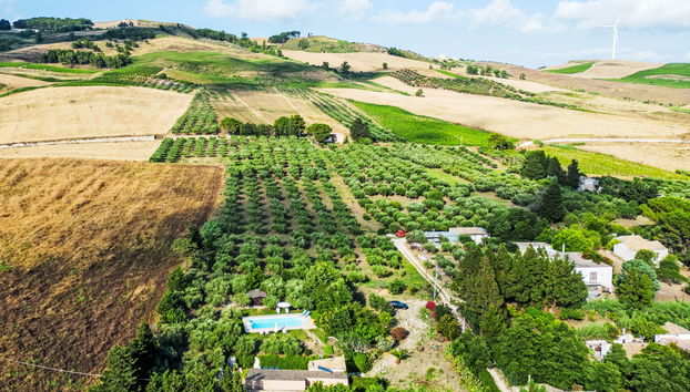 Haus mit 5 Schlafzimmern in Buseto Palizzolo mit privater pool und garten - Foto 3