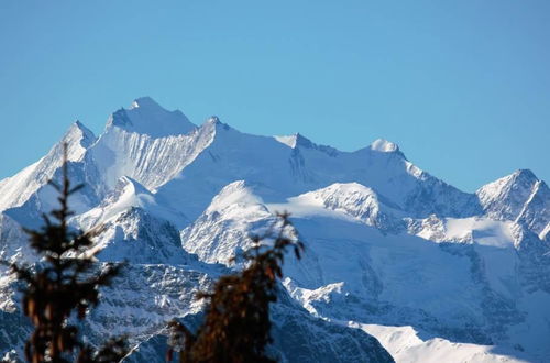 Foto 25 - Appartamento con 1 camera da letto a Bettmeralp