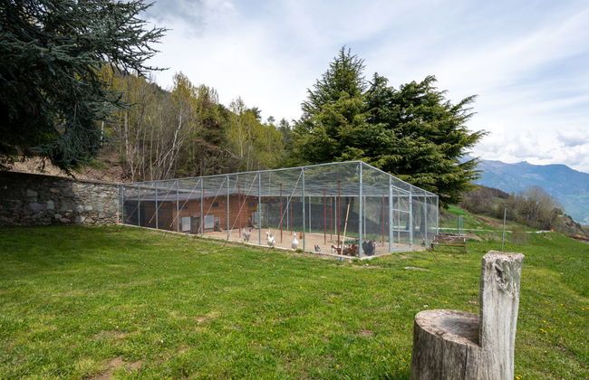 Appartement de 2 chambres à Sarre avec jardin et terrasse - Photo 24