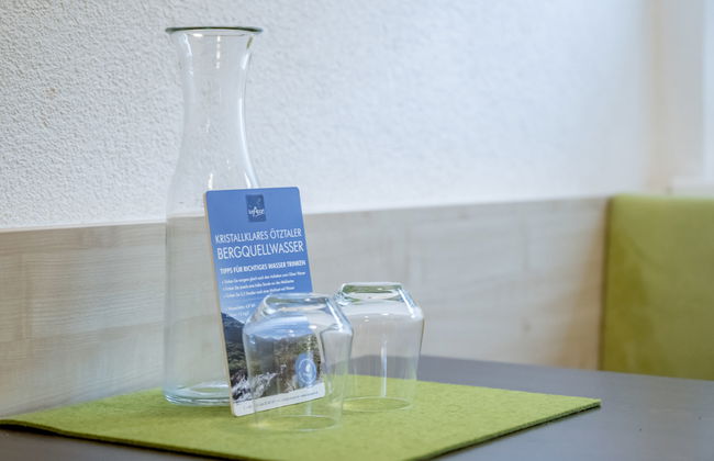 Apartamento de 1 quarto em Sölden com jardim - Foto 9