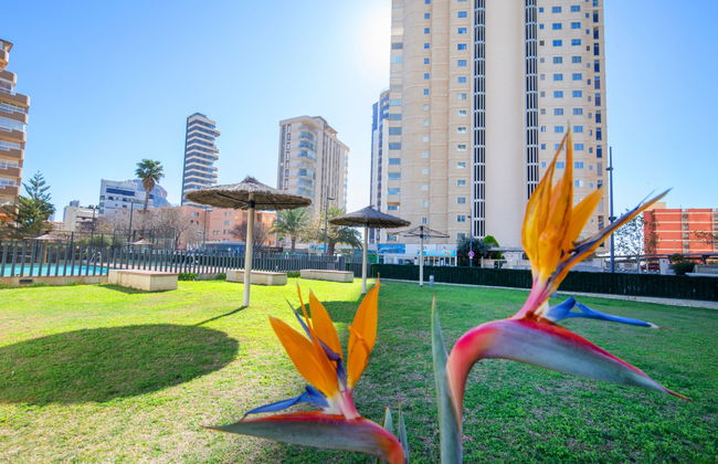 Apartment mit 3 Schlafzimmern in Calp mit schwimmbad und garten - Foto 20