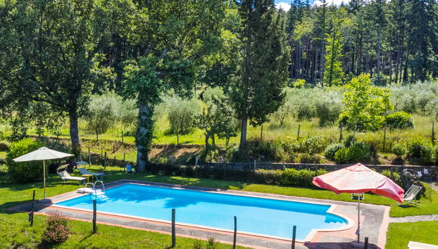 Apartamento de 2 quartos em Pelago com piscina e jardim - Foto 5