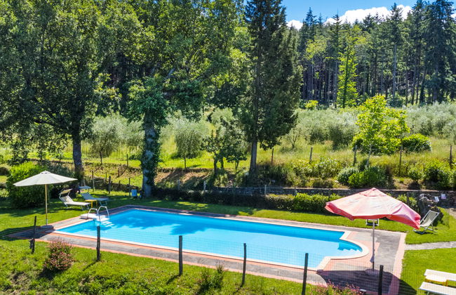 Apartamento de 2 quartos em Pelago com piscina e jardim - Foto 5