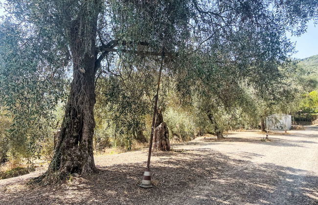 Casa de 2 quartos em Dolcedo com jardim e terraço - Foto 14