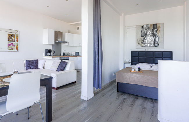 Apartamento de 1 quarto em Nice com terraço - Foto 1