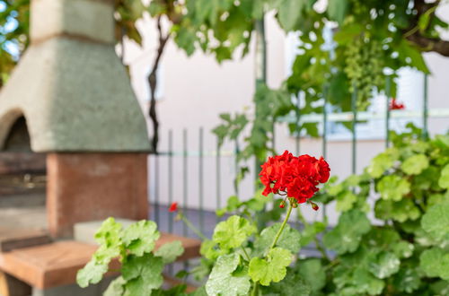 Photo 30 - 4 bedroom Apartment in Biograd na Moru with garden and terrace
