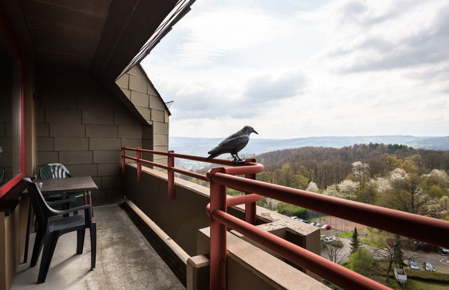 Apartamento de 2 quartos em Lahnstein com piscina e sauna - Foto 22
