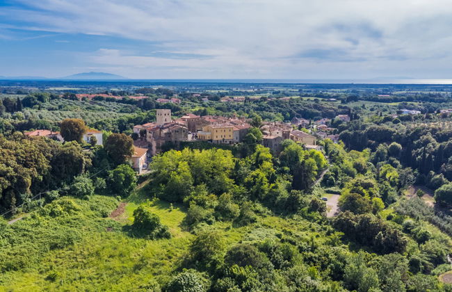 Maison de 3 chambres à Bibbona avec piscine privée et jardin - Photo 29