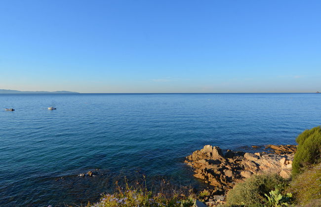 Apartamento de 2 quartos em Ajaccio com piscina e jardim - Foto 27