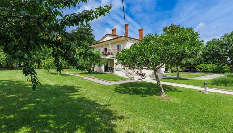 Foto 1 - Appartamento con 2 camere da letto a Žminj con piscina e giardino