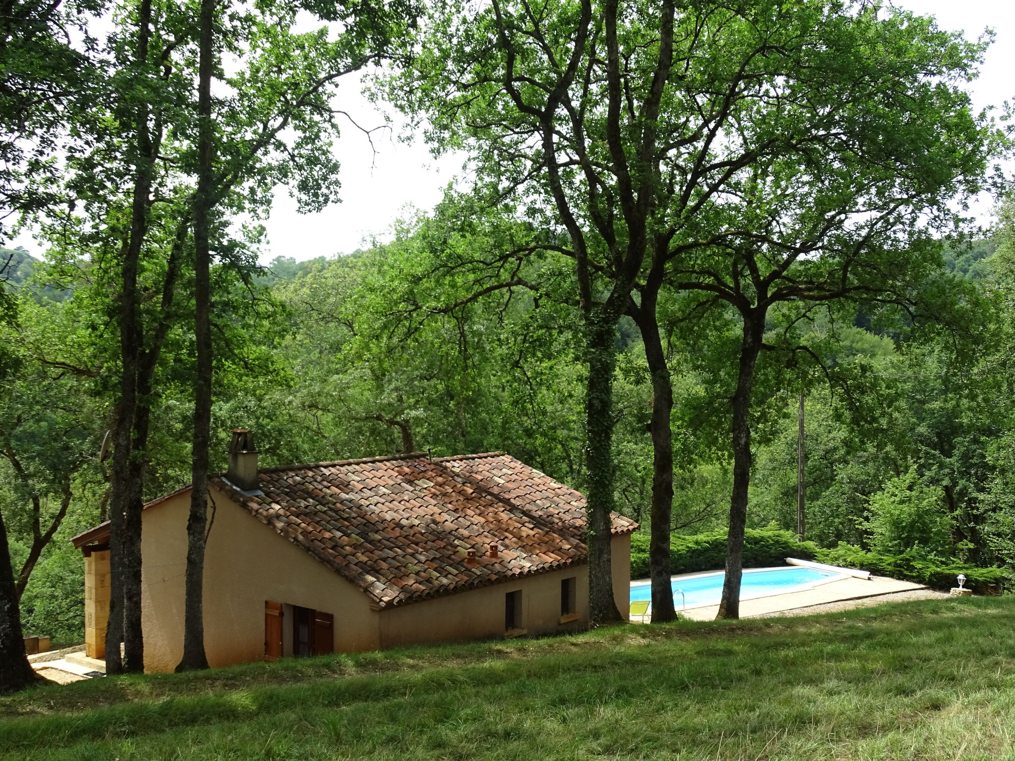 Foto 1 - Casa de 2 habitaciones en Blanquefort-sur-Briolance con piscina privada y jardín