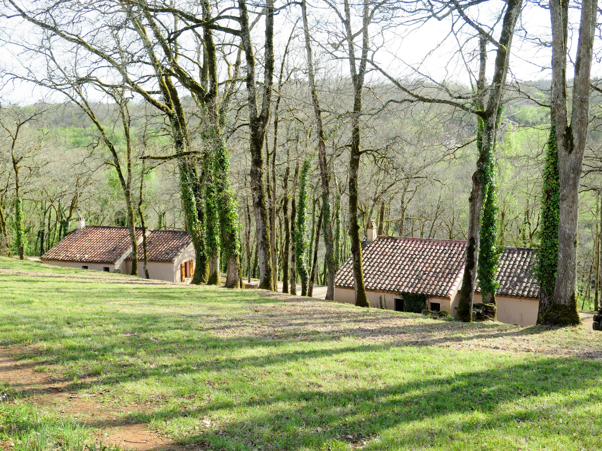 Foto 18 - Casa de 2 quartos em Blanquefort-sur-Briolance com piscina privada e terraço