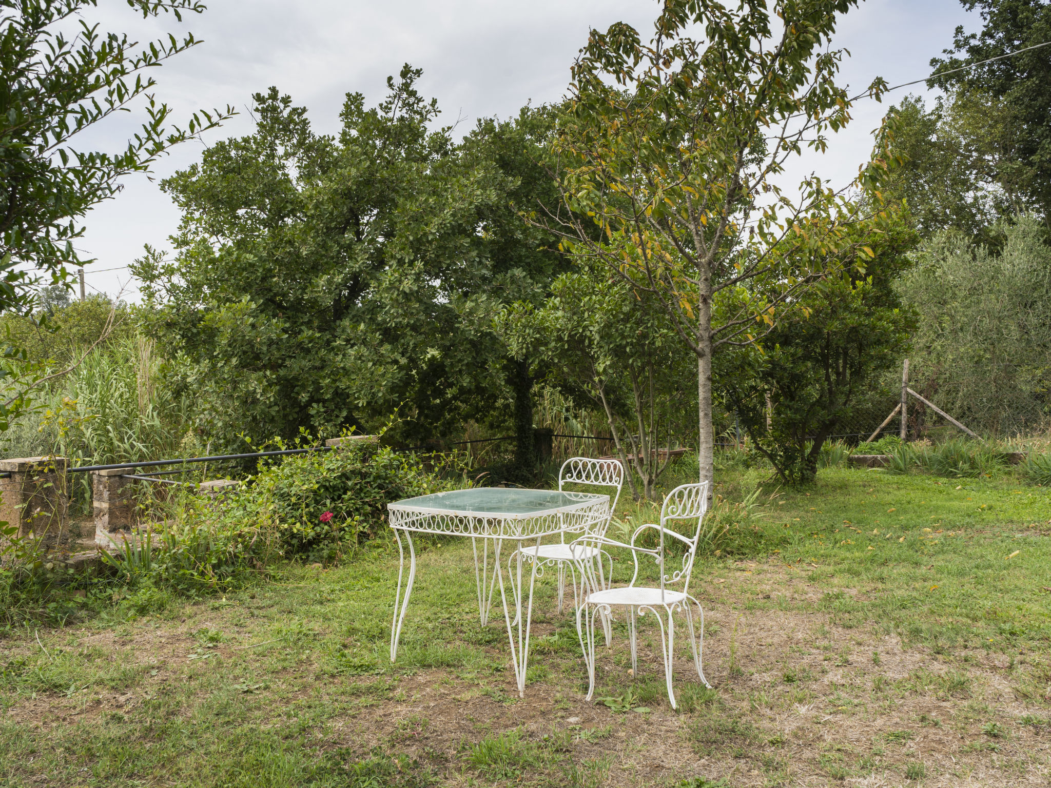 Foto 4 - Apartment mit 5 Schlafzimmern in Corchiano mit schwimmbad und blick auf die berge