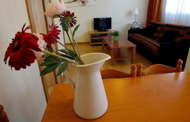 Apartamentos Turísticos Real Valle Ezcaray - Foto 15