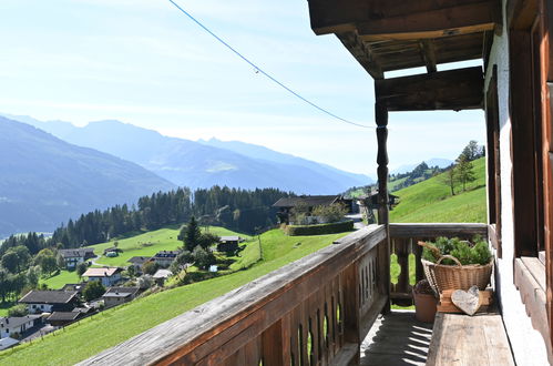 Photo 30 - Appartement de 2 chambres à Niedernsill avec jardin et vues sur la montagne