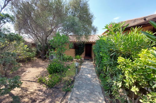 Photo 26 - Maison de 3 chambres à San Teodoro avec piscine et jardin