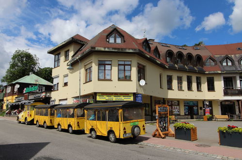 Foto 1 - Apartment mit 1 Schlafzimmer in Harrachov