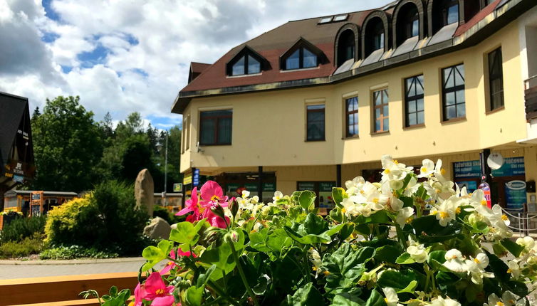 Foto 1 - Apartamento de 2 quartos em Harrachov